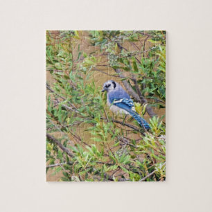 Quebra-cabeça Blue Jay on Wax Myrtle