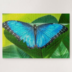 Quebra-cabeça Blue Morpho Butterfly Arte Floral