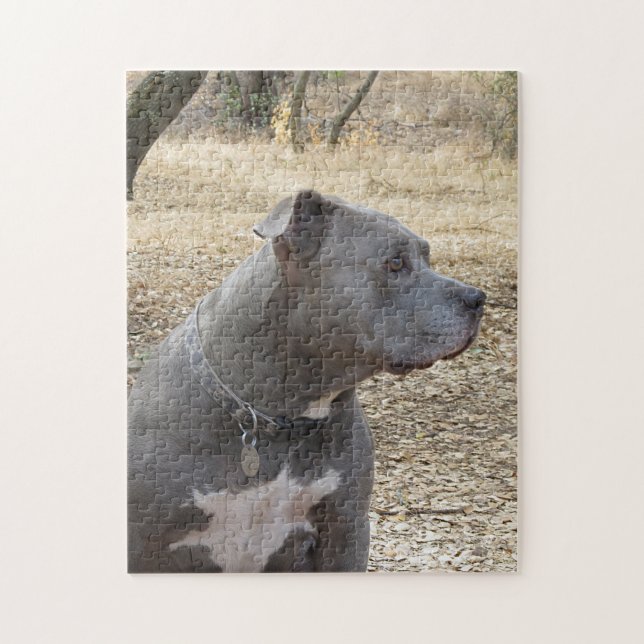 Quebra-cabeça Blue Nose Pitbull Puzzle (Vertical)