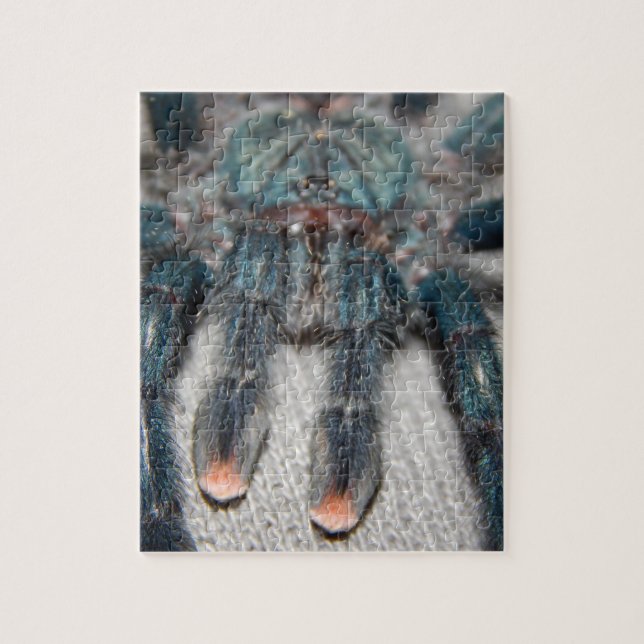 Quebra-cabeça blue tarantula (Vertical)
