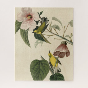 Quebra-cabeça Blue-Winged Yellow Warbler - Audubon Birds America