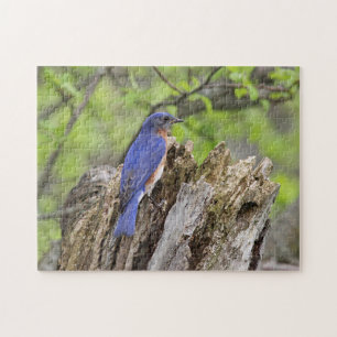 Quebra-cabeça Bluebird