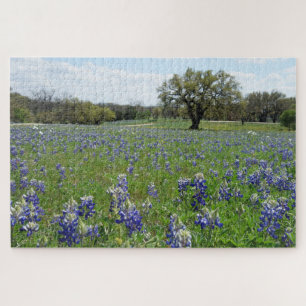 Quebra-cabeça Bluebonnets do Texas
