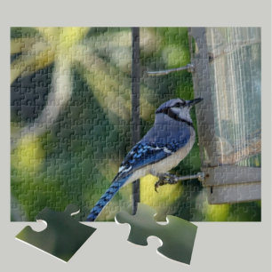 Quebra-cabeça Bluejay empacotado no Birdfeeder