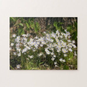 Quebra-cabeça Bluets Pequenos Flores Azuis Fotografia de Óleo
