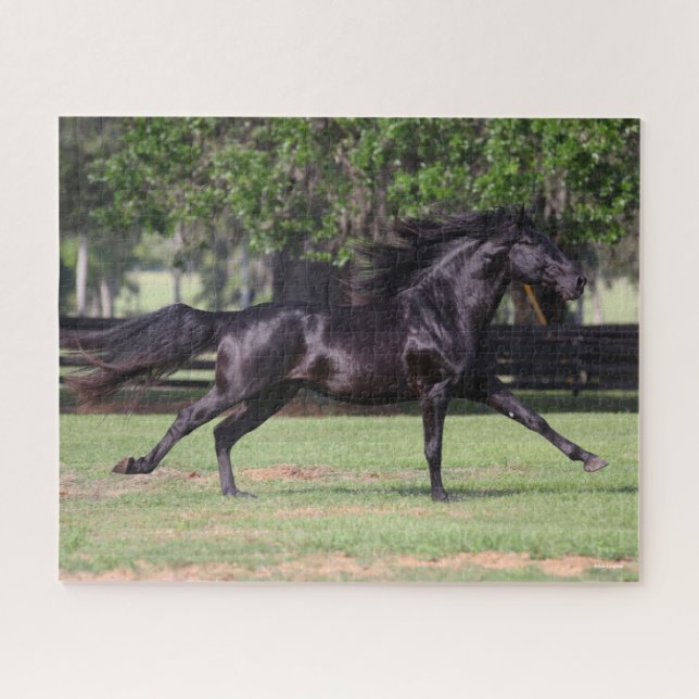 Quebra-cabeça Bob Langrish | Black Lusitano Running Mane Flowing (Horizontal)