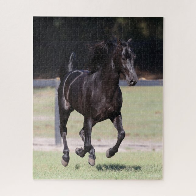 Quebra-cabeça Bob Langrish | Black Tennessee Walker Runker (Vertical)