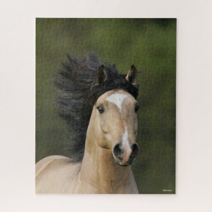Quebra-cabeça Bob Langrish Buckskin Welsh Pony Headshot