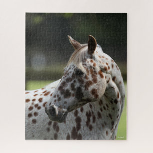 Quebra-cabeça Bob Langrish   Captura de cabeça de Appaloosa