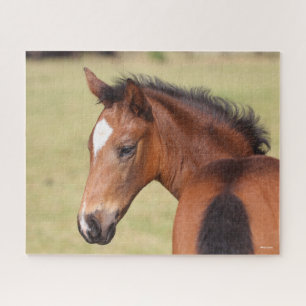 Quebra-cabeça Bob Langrish Captura de cabeça de Bay Warmblood