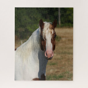 Quebra-cabeça Bob Langrish   Captura de cabeça de cavalo de Pin