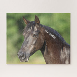 Quebra-cabeça Bob Langrish Captura de cabeça de Mustang Mare