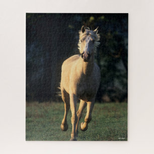 Quebra-cabeça Bob Langrish Cavalo Palomino com iluminação tr
