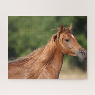 Quebra-cabeça Bob Langrish Chestnut Arab Headshot Mane Flowe