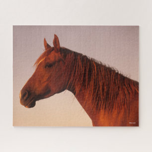 Quebra-cabeça Bob Langrish   Chestnut Arab Hormone Sunset
