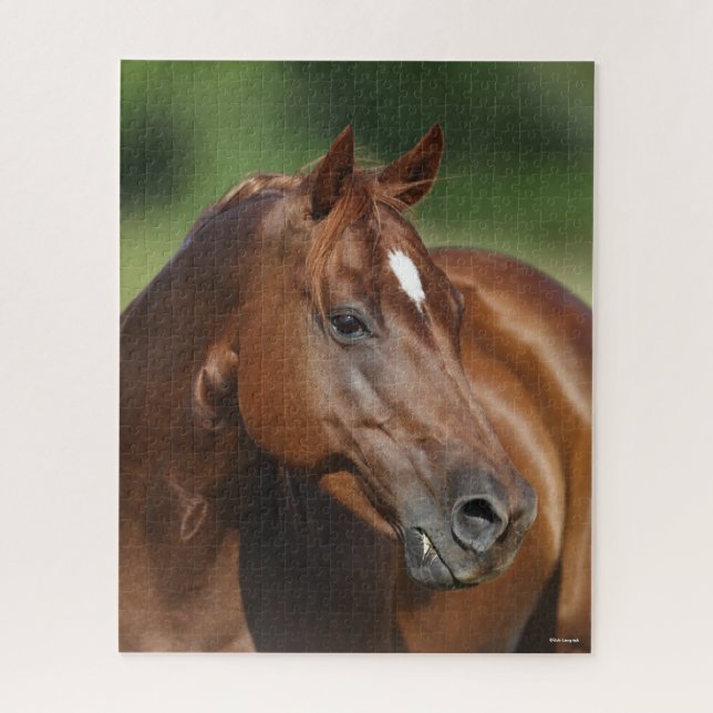 Quebra-cabeça Bob Langrish Chestnut Quarter Horse Mare Headshot (Vertical)