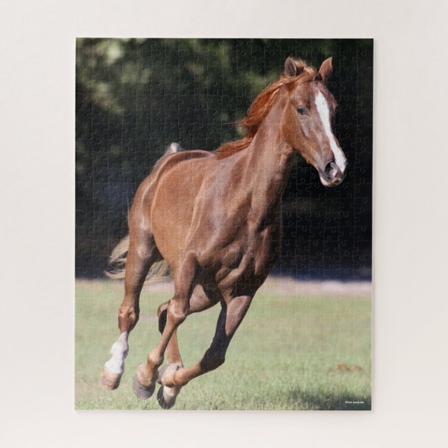 Quebra-cabeça Bob Langrish | Chestnut Tennessee Walker Runker (Vertical)