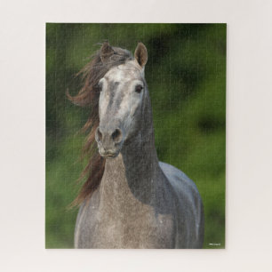 Quebra-cabeça Bob Langrish Cinza Andalucian Stallion Captura