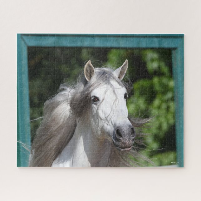 Quebra-cabeça Bob Langrish | Cinza Andalucian Stallion Captura (Horizontal)