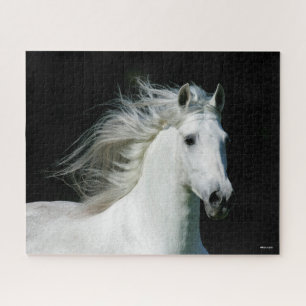 Quebra-cabeça Bob Langrish Cinza Andalucian Stallion Captura