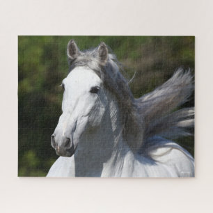 Quebra-cabeça Bob Langrish Cinza Andalucian Stallion Captura
