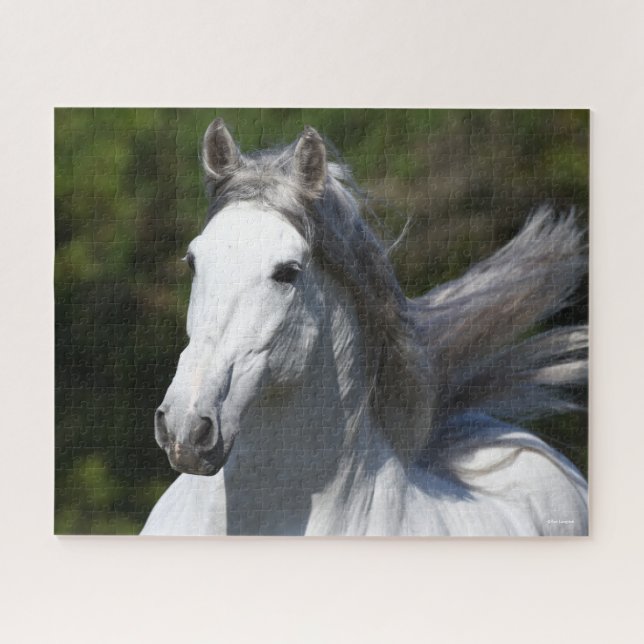 Quebra-cabeça Bob Langrish | Cinza Andalucian Stallion Captura (Horizontal)