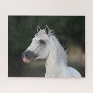 Quebra-cabeça Bob Langrish Cinza Andalucian Stallion Captura 6