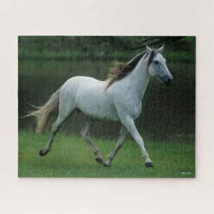 Quebra-cabeça Bob Langrish Cinza Andalucian Stallion Running