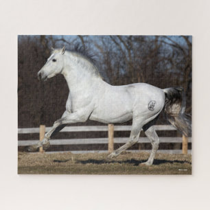 Quebra-cabeça Bob Langrish Cinza Andalucian Stallion Running
