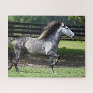 Quebra-cabeça Bob Langrish Cinza Lusitano Stallion