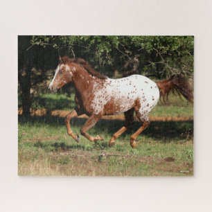 Quebra-cabeça Bob Langrish   Corrente de Cavalo Appaloosa