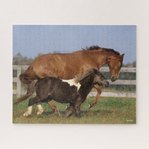 Quebra-cabeça Bob Langrish Cristo puro e Shetland Pony
