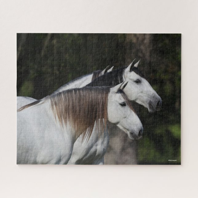 Quebra-cabeça Bob Langrish | Dois Andaluianos Juntos (Horizontal)