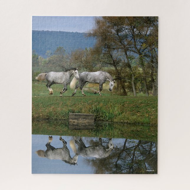 Quebra-cabeça Bob Langrish | Dois Juntos De Warmbloods Por Lago (Vertical)