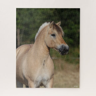 Quebra-cabeça Bob Langrish Fjord Horse de Capa
