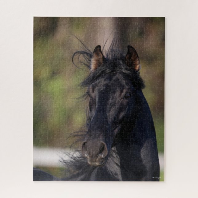 Quebra-cabeça Bob Langrish | Imagem do Stallion Black Andalucian (Vertical)