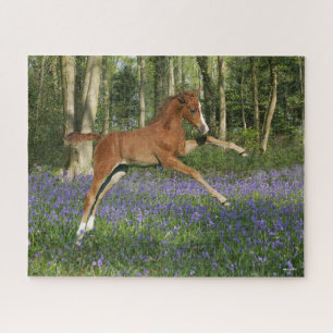 Quebra-cabeça Bob Langrish   Morgan Foal Saltando Com Bluebells
