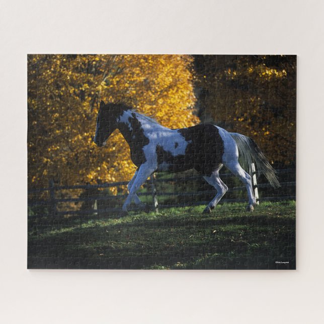 Quebra-cabeça Bob Langrish | Paint Horse Running Autumn (Horizontal)