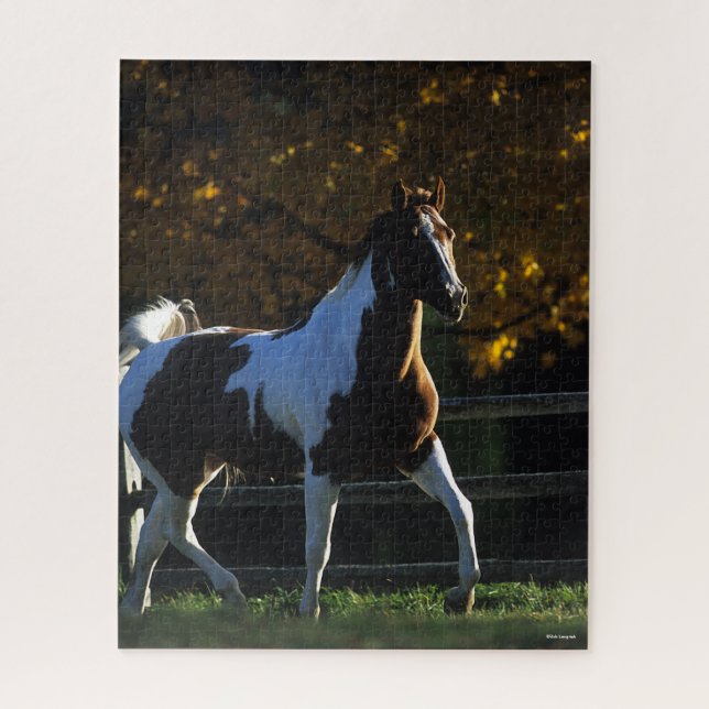Quebra-cabeça Bob Langrish | Paint Horse Walking Backlile Autumn (Vertical)