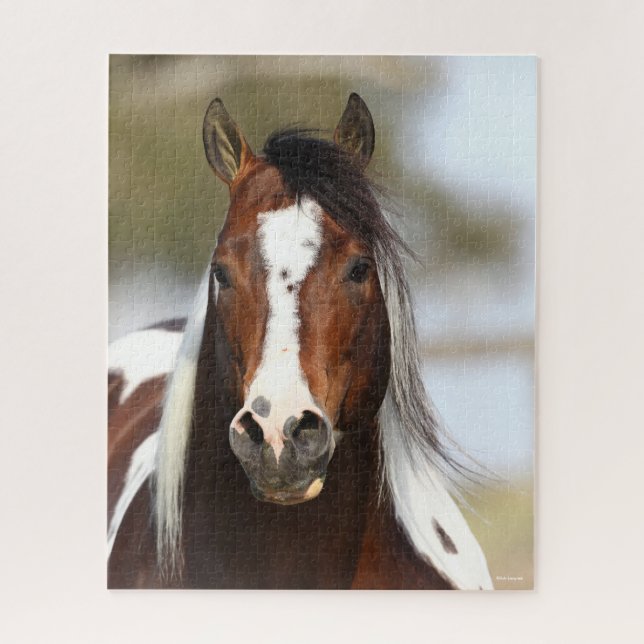 Quebra-cabeça Bob Langrish | Paint Stallion Headshot (Vertical)