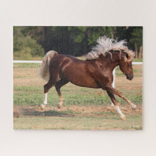 Quebra-cabeça Bob Langrish   Palomino Morgan Horse Bucking