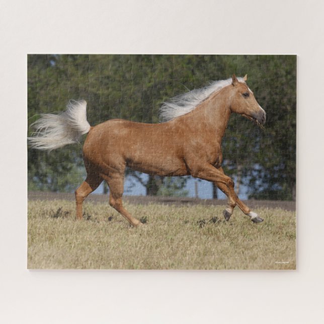 Quebra-cabeça Bob Langrish | Palomino Quarter Horse Running (Horizontal)