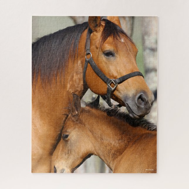 Quebra-cabeça Bob Langrish Quarter Horse Mare e Foal Headshot (Vertical)