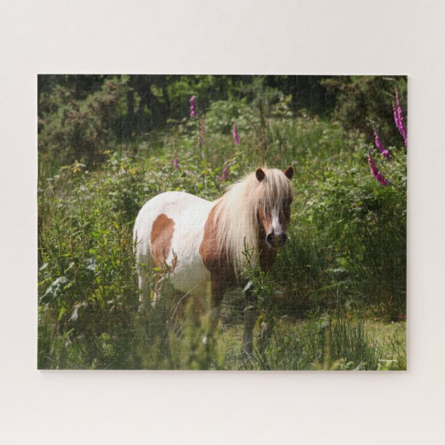 Quebra-cabeça Bob Langrish | Shetland Pony Em Flores (Horizontal)