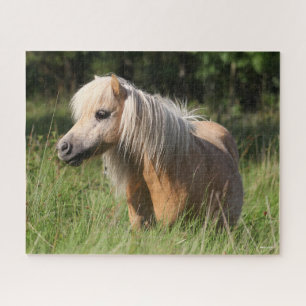 Quebra-cabeça Bob Langrish Shetland Pony em pé de longa grama