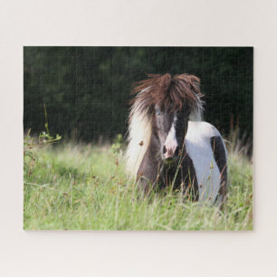 Quebra-cabeça Bob Langrish Shetland Stallion Em Situação De