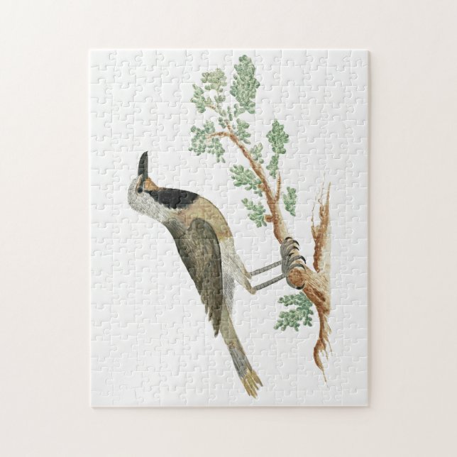 Quebra-cabeça Bokmakierie | Animação de aves (Vertical)