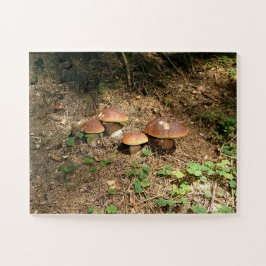 Quebra-cabeça boletus