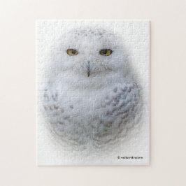 Quebra-cabeça Bonita, Dreamy e Serene Snowy Owl