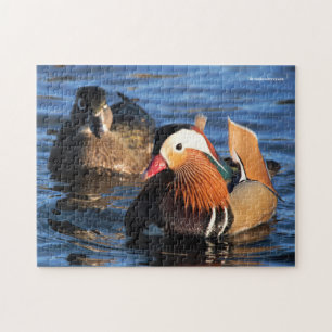Quebra-cabeça Bonita mandarim e patos de madeira no lago